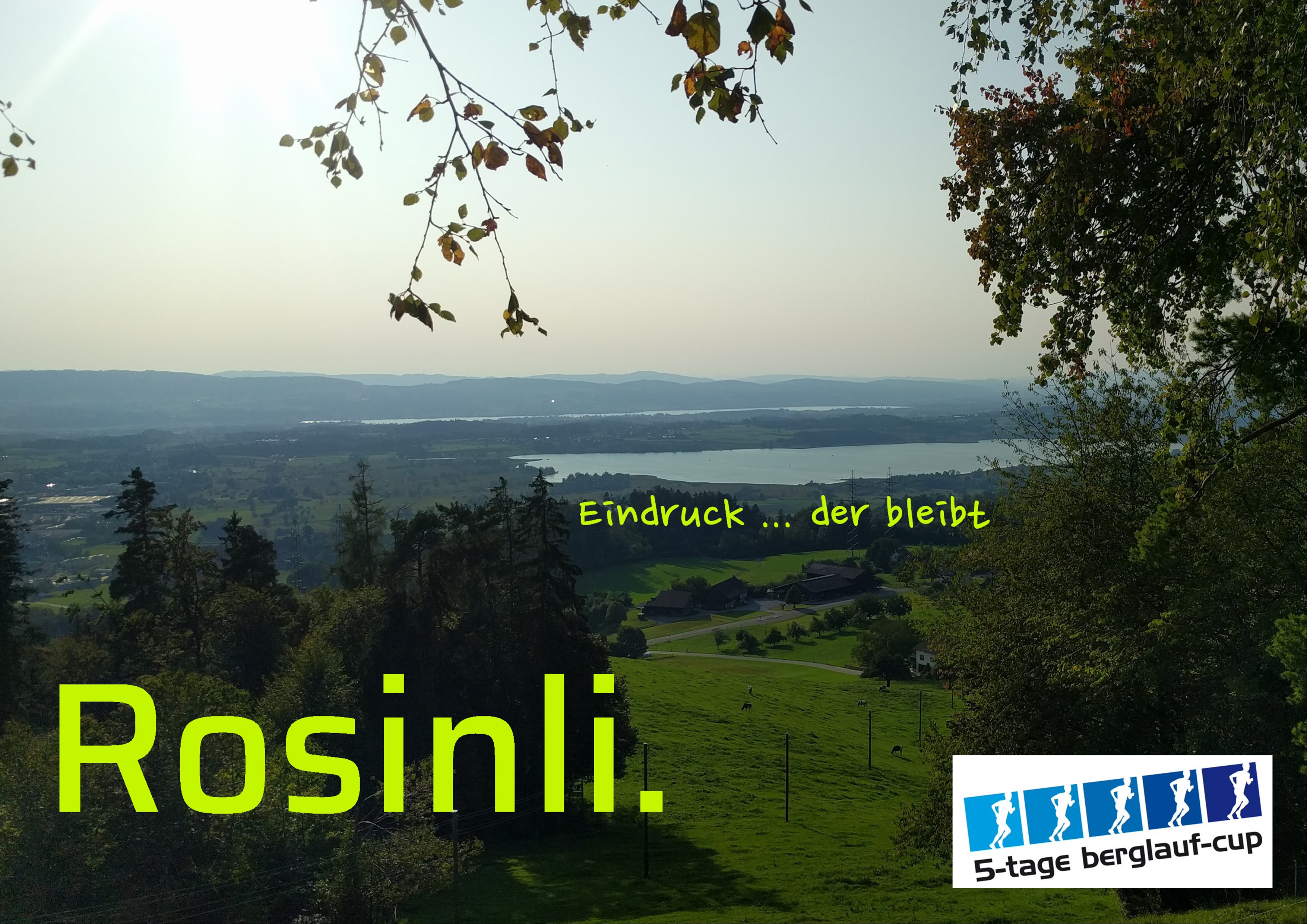 Rosinli